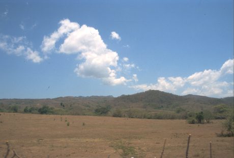 Photo 35