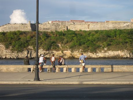 Photo 31