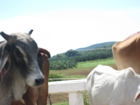 Photo 24