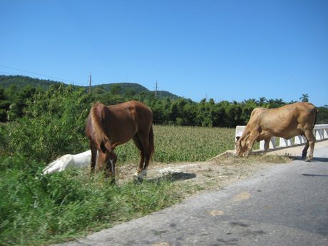 Photo 26