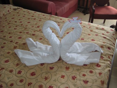 Photo 42