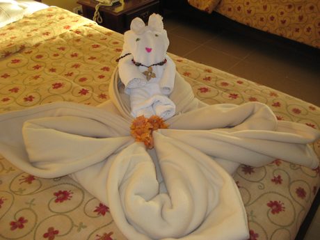 Photo 217