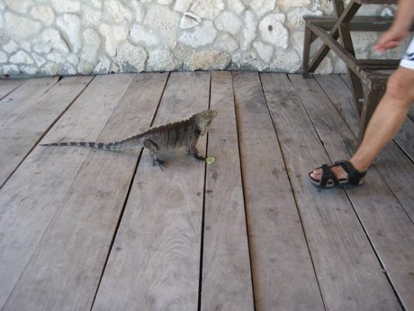 Photo 177