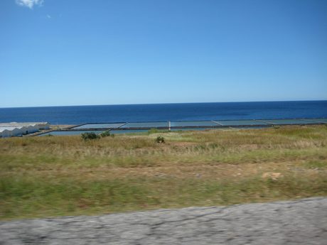 Photo 196