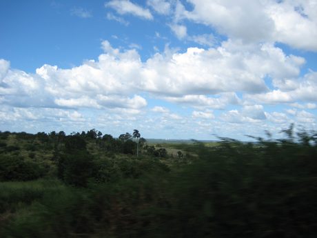 Photo 201