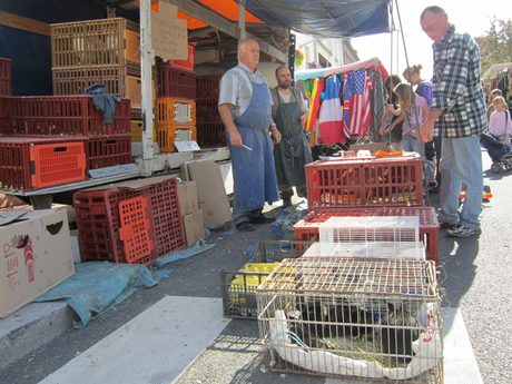 Photo 41