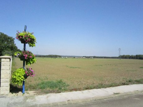 Photo 82