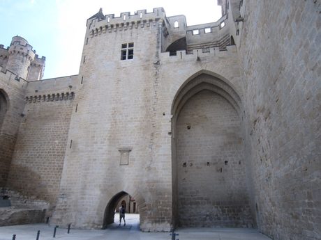 Photo 45