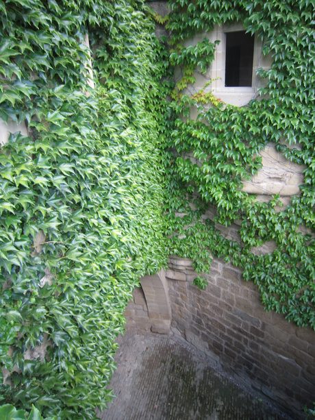 Photo 50