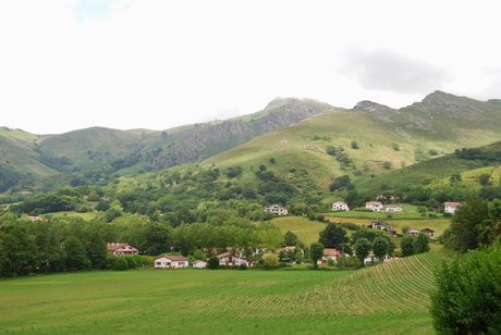 Photo 25