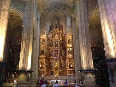Photo 242