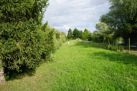 Photo 30