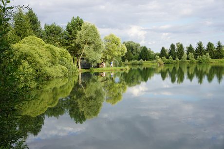 Photo 33