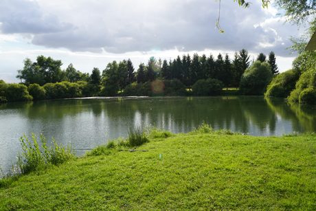 Photo 40
