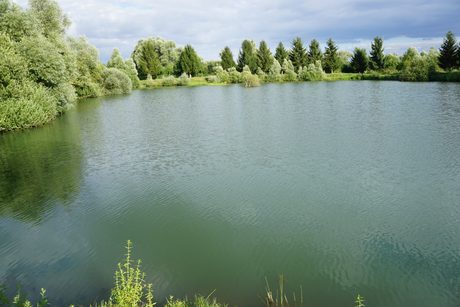 Photo 41
