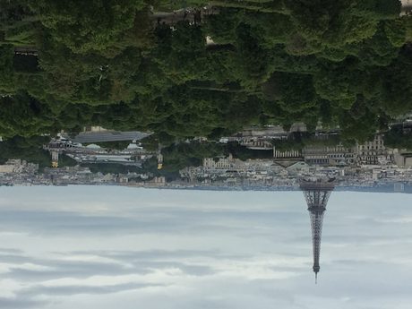 Photo 44