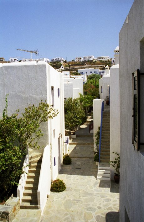 Photo 40