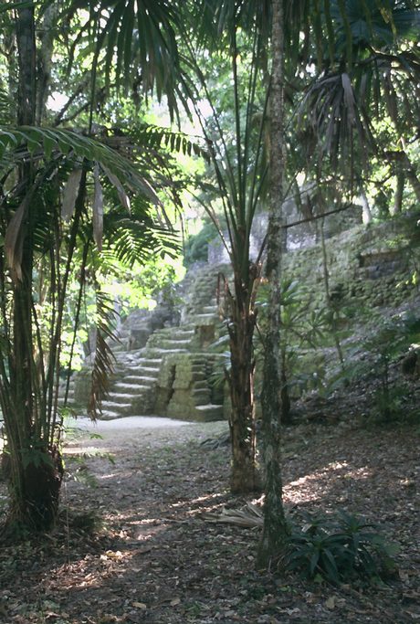 Photo 16