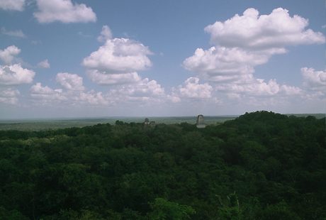 Photo 100