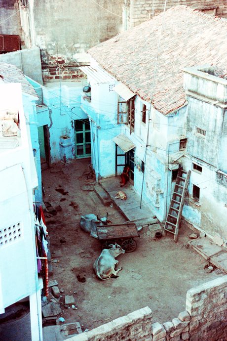 Photo 4