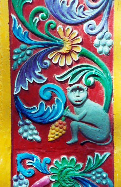 Photo 21