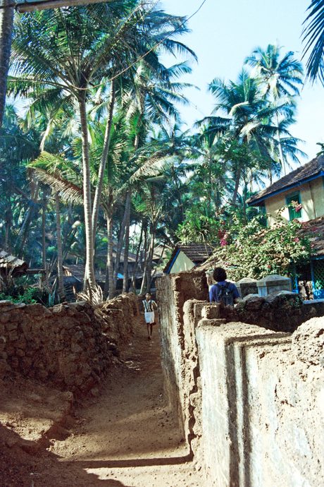 Photo 25