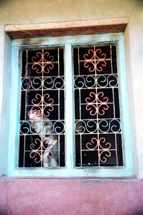 Photo 27