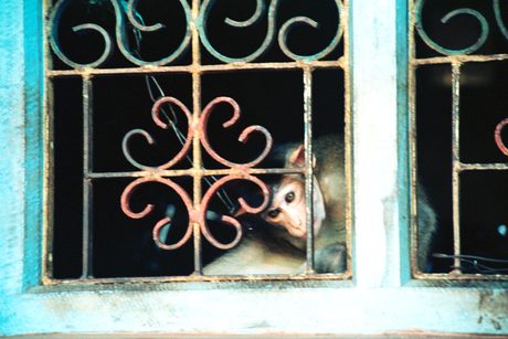 Photo 30