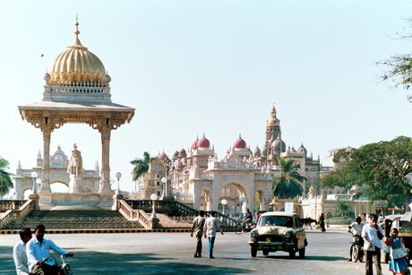 Photo 4