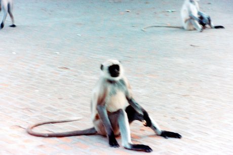 Photo 20