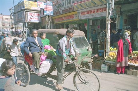 Photo 44