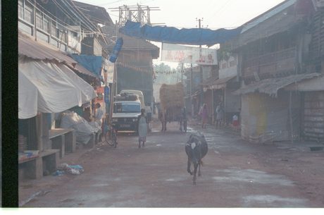 Photo 5