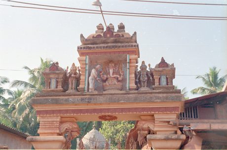 Photo 22