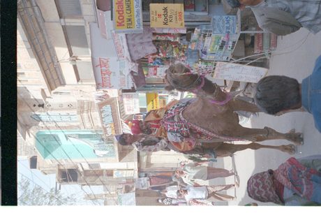 Photo 20