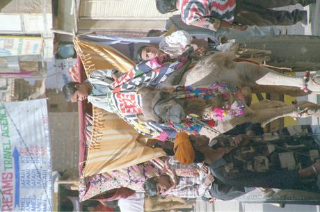 Photo 28