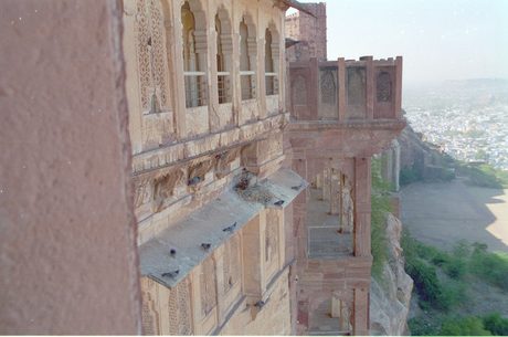 Photo 4