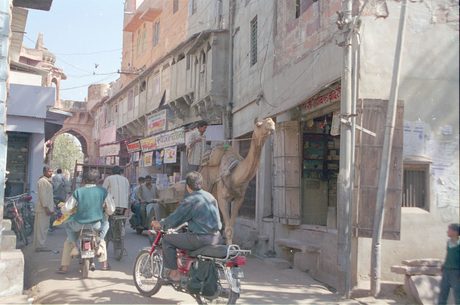 Photo 28