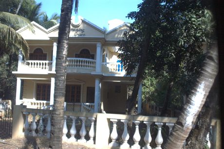 Photo 11