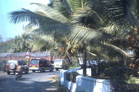 Photo 21