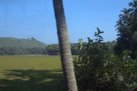 Photo 44