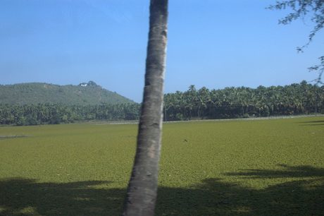 Photo 45