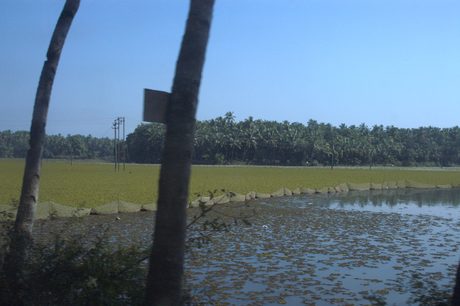 Photo 47
