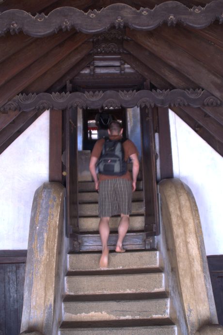 Photo 45