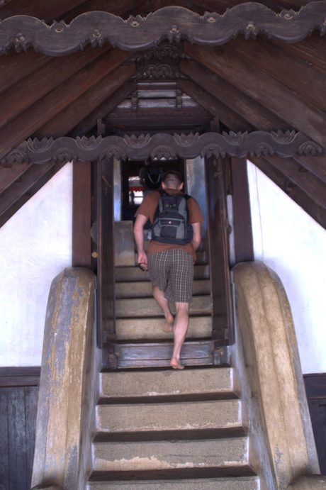 Photo 46