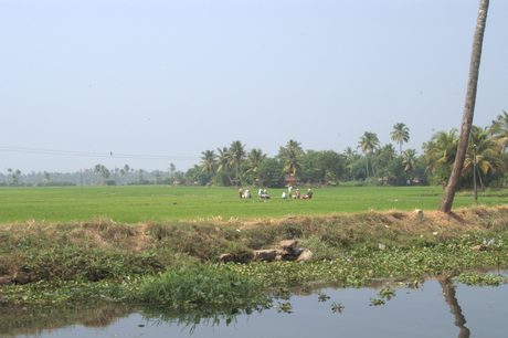 Photo 29
