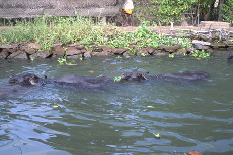 Photo 43