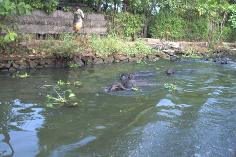 Photo 44