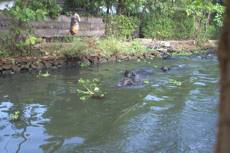Photo 45