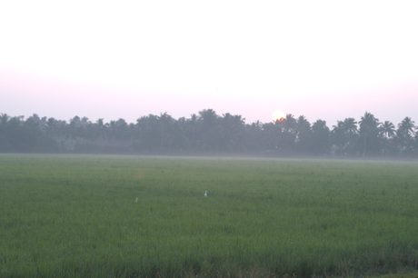 Photo 290