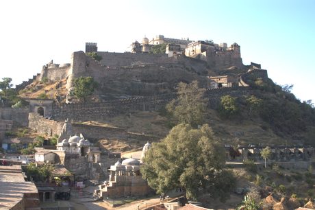 Photo 47